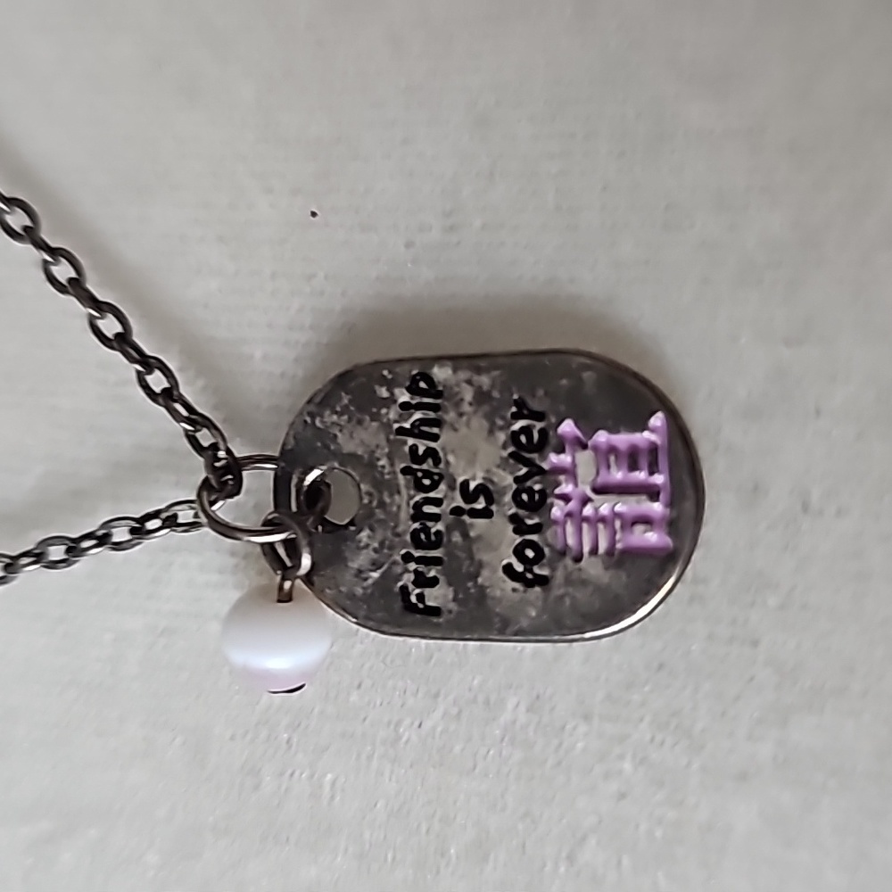 Friendship is Forever Necklace 18 Inches ⬜4